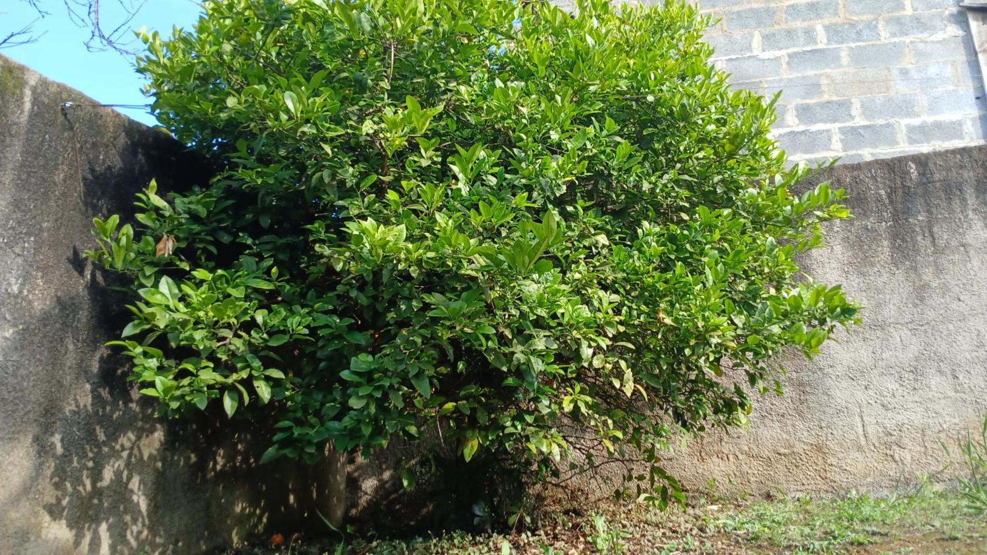 蒙特韦尔迪Chale Refugio别墅 客房 照片
